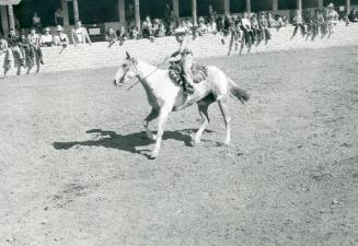 Stephen Rigdon participates in the Junior Horse Show