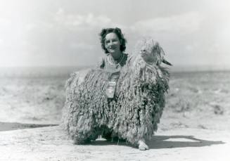 Champion Angora Buck, owned by R. W. Reid