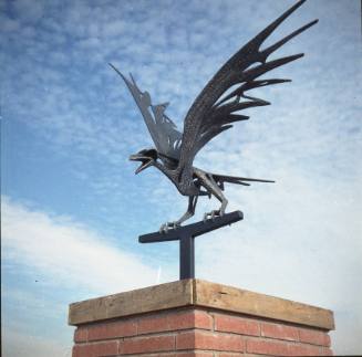 Rio Grande High School Raven