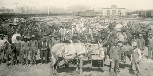 Teams of Horses in a Railyard