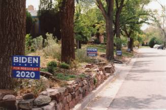 Biden Election Yard Signs