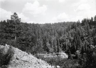 "Scene from Auto Road, Cloudcroft, N.M."