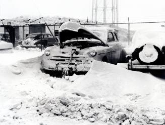 Cars in Snowdrifts