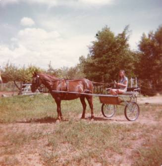 Woman with a Horse and Cart