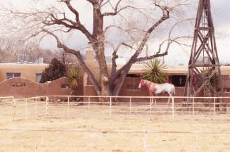 Stucco Building and Ranch
