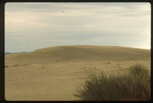 Southwest Mesa Sand Dunes