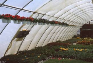 Wenk Greenhouse